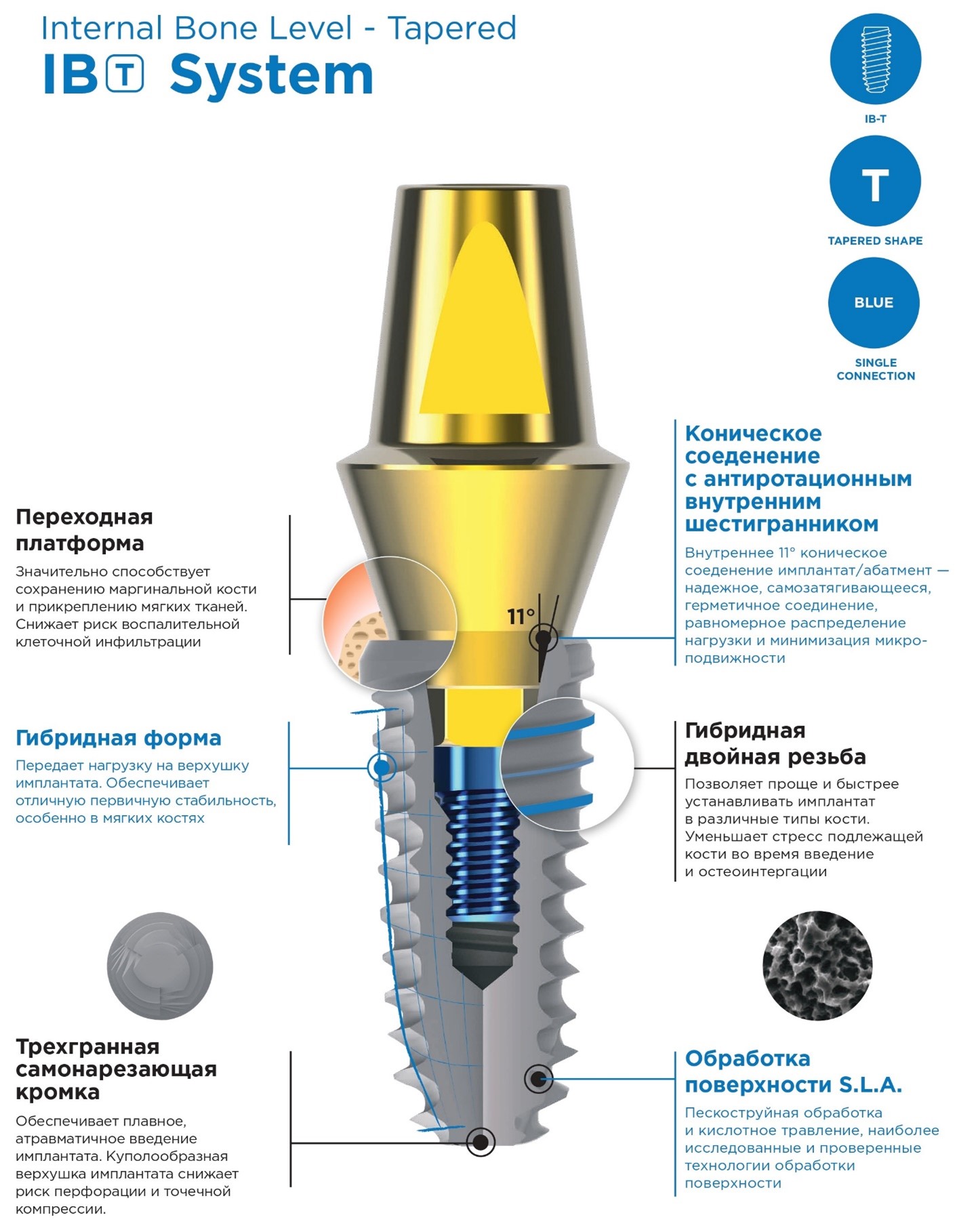 FIXTURE IB T